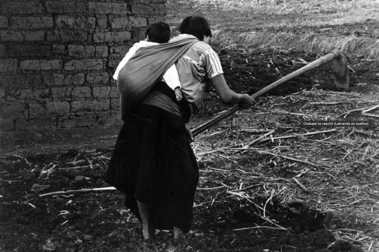 Woman with baby strapped on her back works with a hoe to cultivate a field.